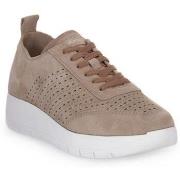 Lage Sneakers Grunland Beige K9TANI
