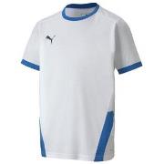 T-shirt Korte Mouw Puma Teamgoal 23 Jersey