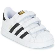 Lage Sneakers adidas SUPERSTAR CF I