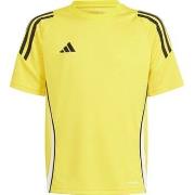 T-shirt Korte Mouw adidas IS1027