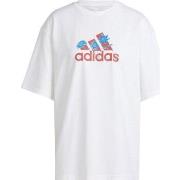 T-shirt Korte Mouw adidas IT1421