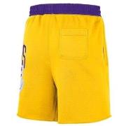 Korte Broek Nike Nba Los Angeles Lakers Courtside 75
