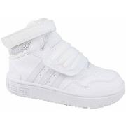 Lage Sneakers adidas Hoops Mid 3.0 Ac