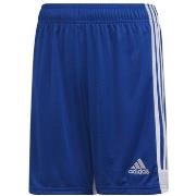 Korte Broek adidas Tastigo 19