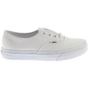 Lage Sneakers Vans VN000EE3W001M