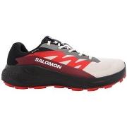 Hardloopschoenen Salomon Alphaglide Gtx