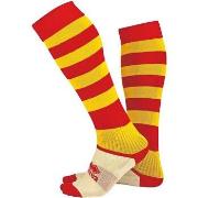 Sportsokken Errea Zone Calza Junior 2003