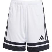 Korte Broek adidas Squadra 25