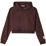 Sweater Hinnominate Cappuccio A Scatoletta Con Manica Raglan