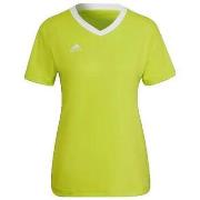 T-shirt Korte Mouw adidas Maillot Entrada 22 Jaune