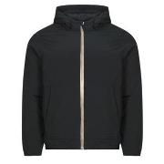 Windjack Teddy Smith B-HORT