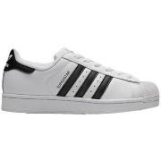 Lage Sneakers adidas Superstar