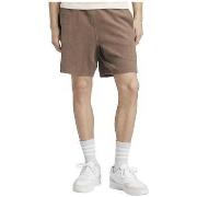 Korte Broek adidas Short Elevated All Szn