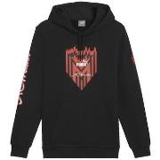 Sweater Puma Sweat à capuche AC Milan avec logo