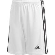 Korte Broek adidas Squad 21 Sho Y
