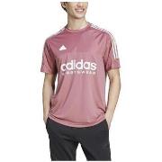 T-shirt Korte Mouw adidas T-shirt Tiro manches courtes
