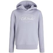 Sweater Jack &amp; Jones -