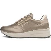 Lage Sneakers NeroGiardini Bagoya Etoile Leo T.Brill Platino 6074 Tr R...