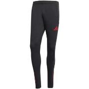 Trainingsbroek adidas Lfc Tr Pnt