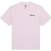 T-shirt Korte Mouw Dickies Statesville Tee Ss