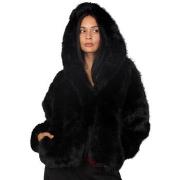 Windjack La Modeuse 76503_P181255