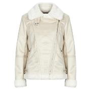 Windjack Morgan GSAPA