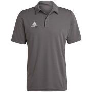 T-shirt Korte Mouw adidas Entrada 22