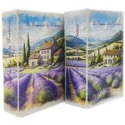 Manden en dozen Signes Grimalt 2U-Doos