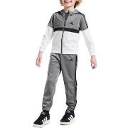 Trainingspak adidas -