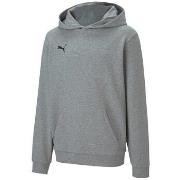 Sweater Puma Teamgoal 23 Causals Hoody