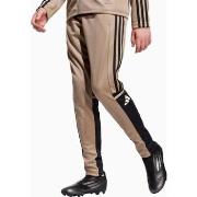 Broeken adidas Squadra 25