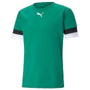 T-shirt Korte Mouw Puma T-shirt Teamrise Vert