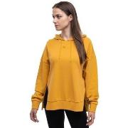 Sweater Puma Sweat à capuche HER Hoodie TR