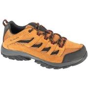 Wandelschoenen Columbia Crestwood