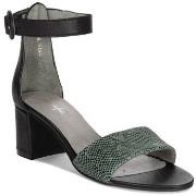 Nette Schoenen Maciejka 0414120005