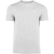 T-shirt Korte Mouw 4F 4FSS23TTSHM536CHODNYJASNYSZARYMELAN
