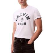 T-shirt Korte Mouw Calvin Klein Jeans LV04RE810G
