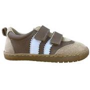 Lage Sneakers Blanditos DELFIN AUTOADHERENTE Marrón