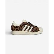 Lage Sneakers adidas Superstar II Leopard (Women's)