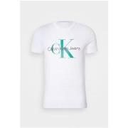 T-shirt Korte Mouw Calvin Klein Jeans J30J320806