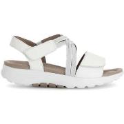 Slippers Gabor 66.813