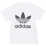 T-shirt Korte Mouw adidas -