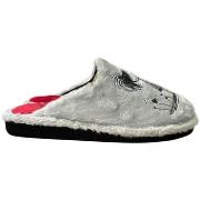 Pantoffels Berevere -