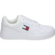 Lage Sneakers Tommy Hilfiger EM0EM01395YBR