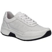 Lage Sneakers Josef Seibel Mitchell 09