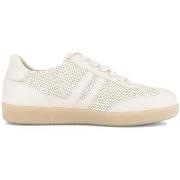 Lage Sneakers Gabor 83.300.42