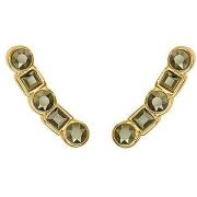 Oorbellen Adore 5375490