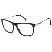 Zonnebril Carrera 113208