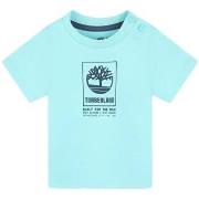 T-shirt Korte Mouw Timberland -