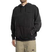Sweater Dickies Plentywood Pullover-hoodie